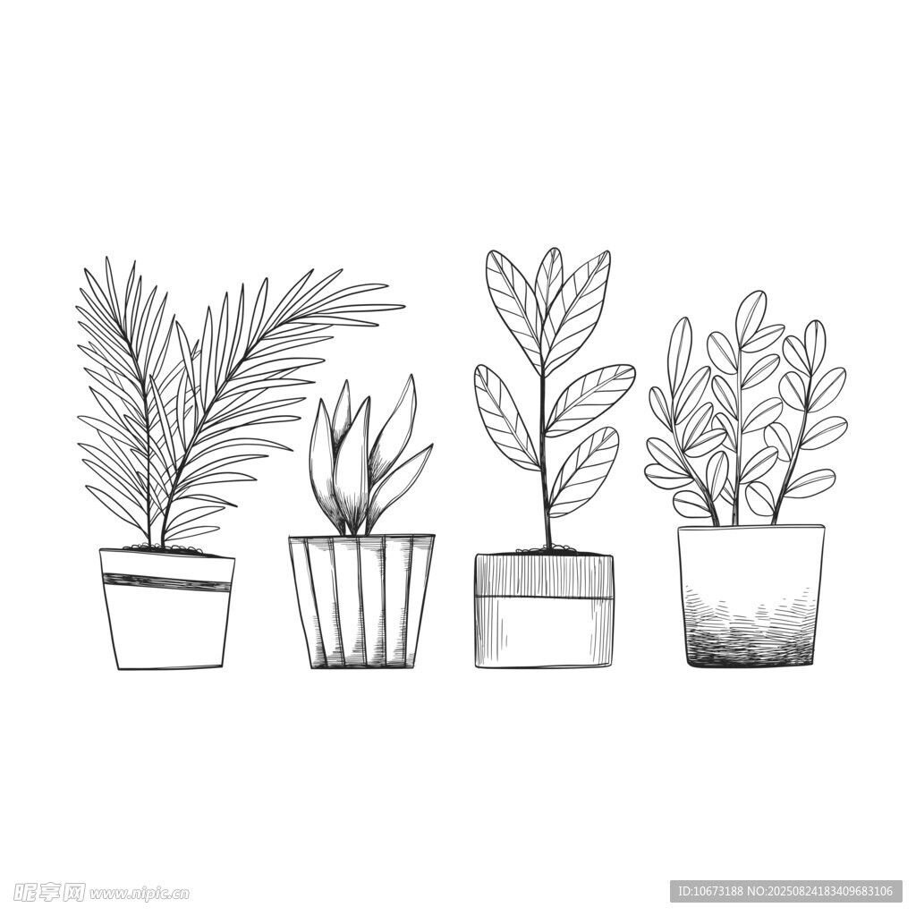 手绘盆栽植物组合