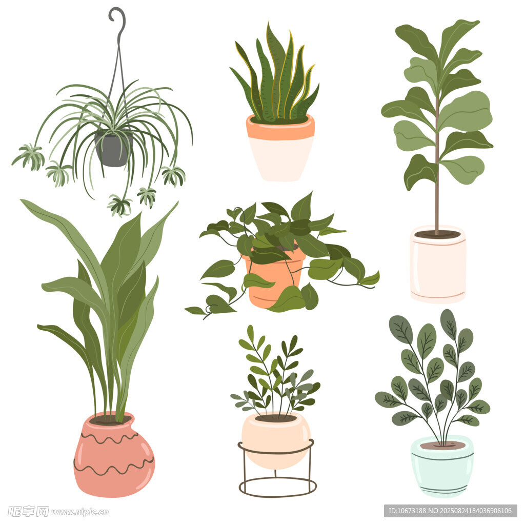 多样盆栽植物插画欣赏