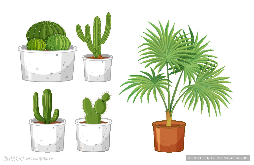 盆栽植物集合