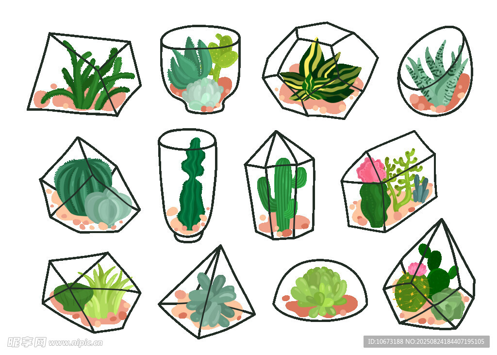 多样几何盆栽植物插画