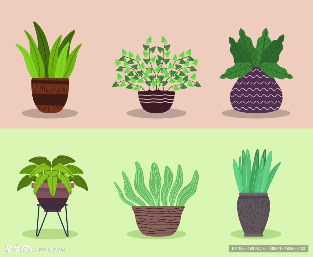 多样盆栽植物插画展示