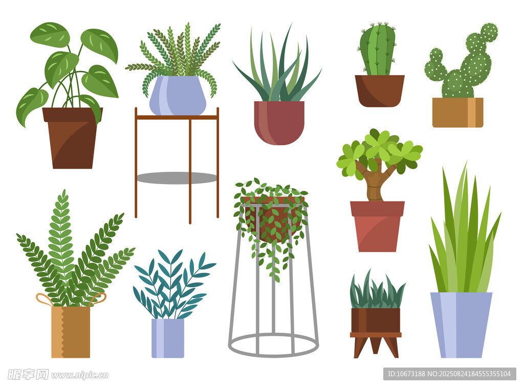 多样盆栽植物插画展示