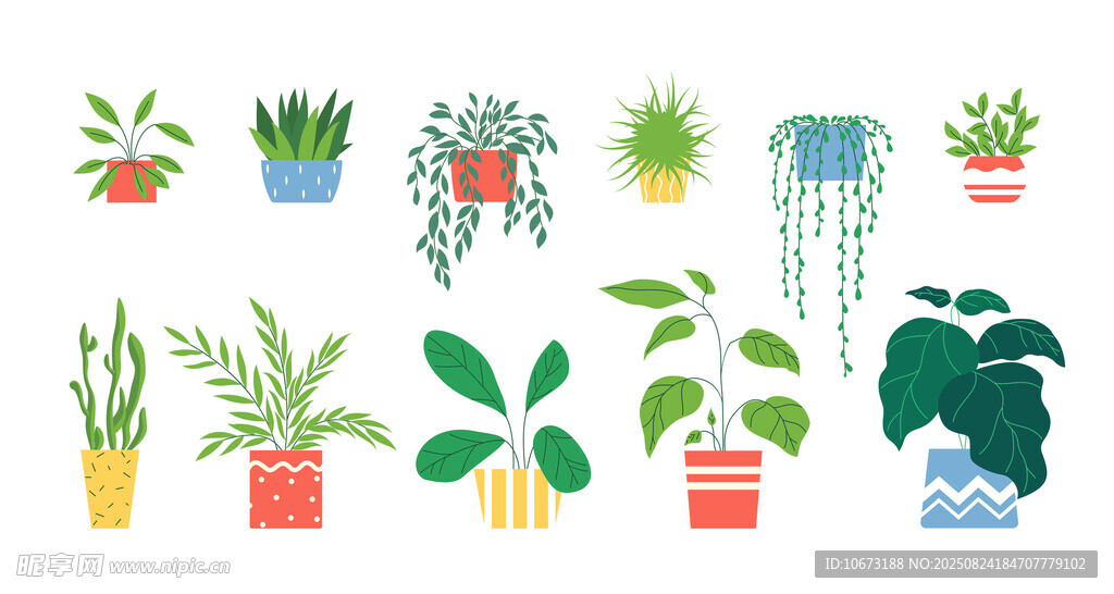 多彩盆栽植物插画
