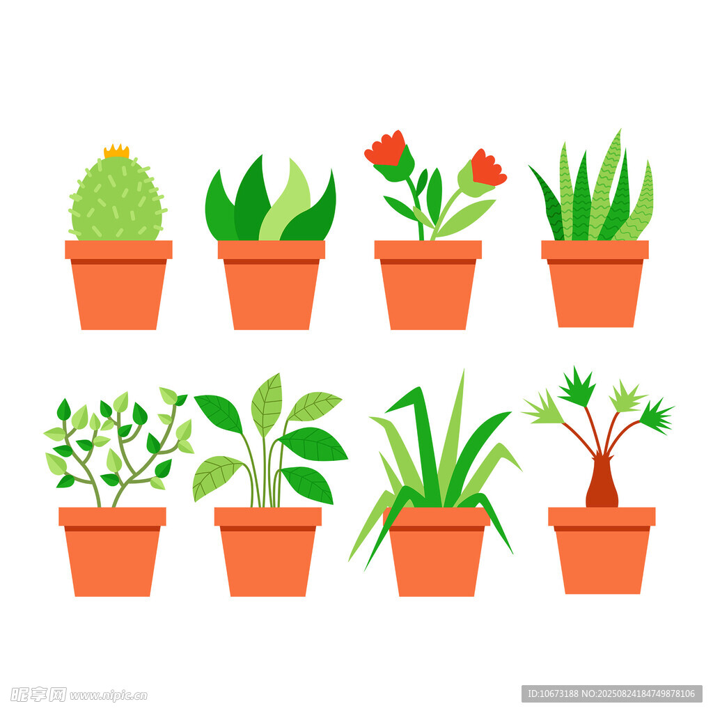 盆栽植物集合