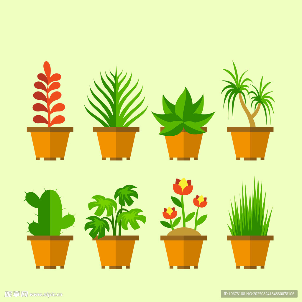 盆栽植物集合