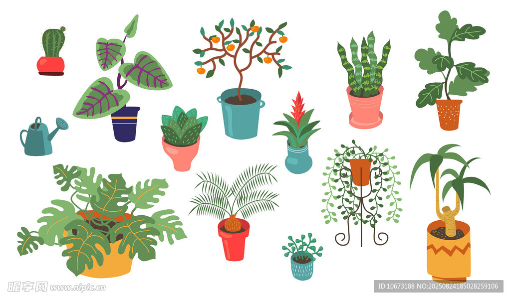 多样盆栽植物插画