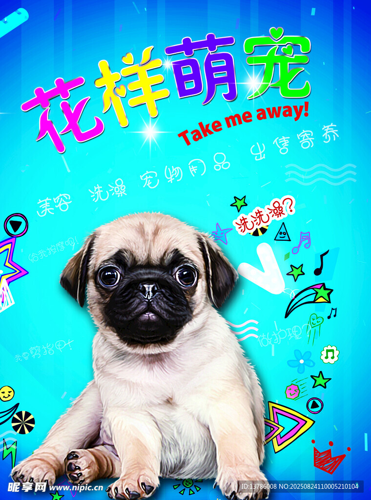宠物洗护