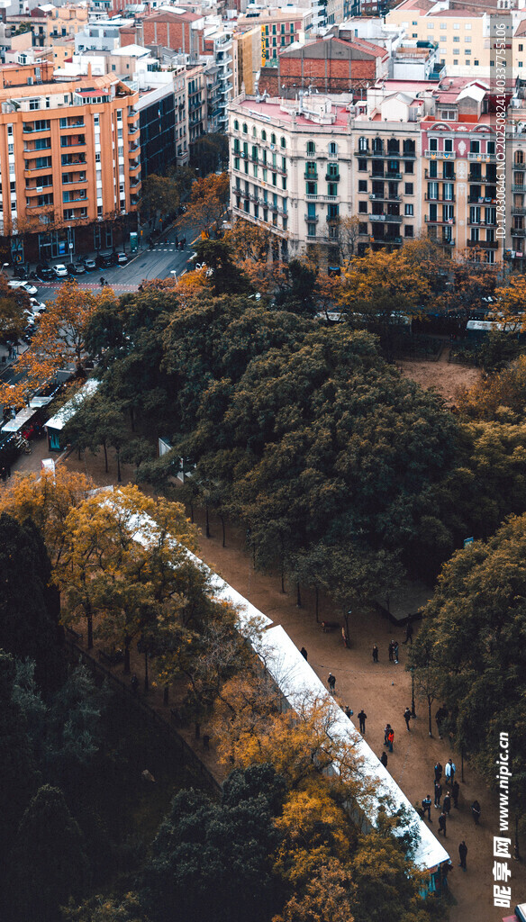 城市林间铁路俯瞰景观