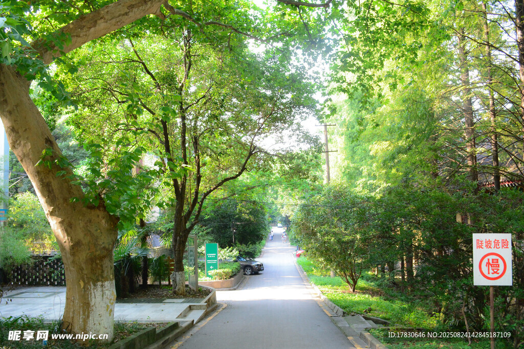 南京大学鼓楼校区