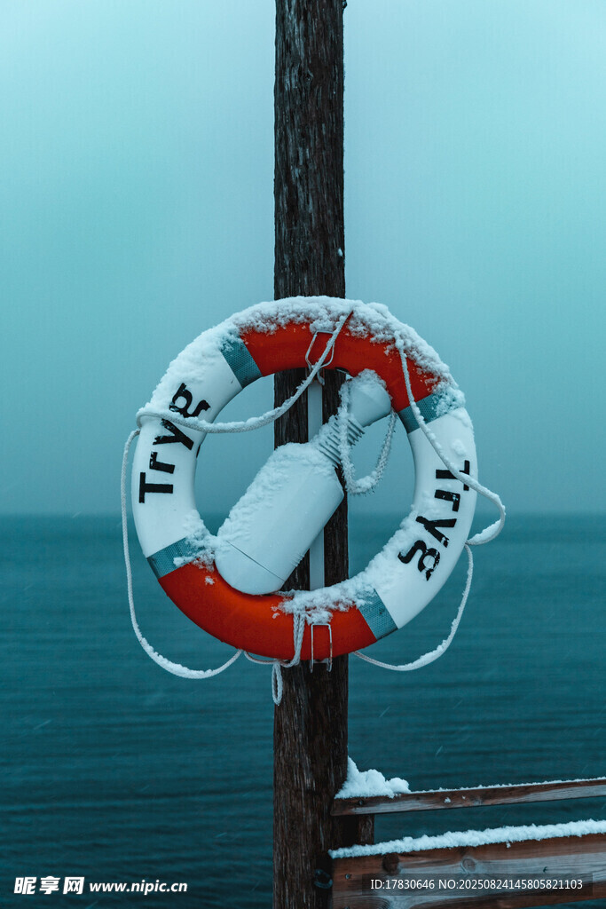 海边木桩上的救生圈