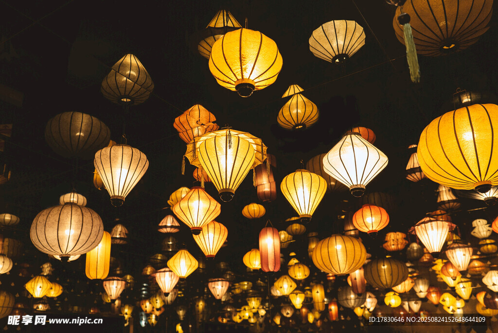 夜空中的绚烂灯笼