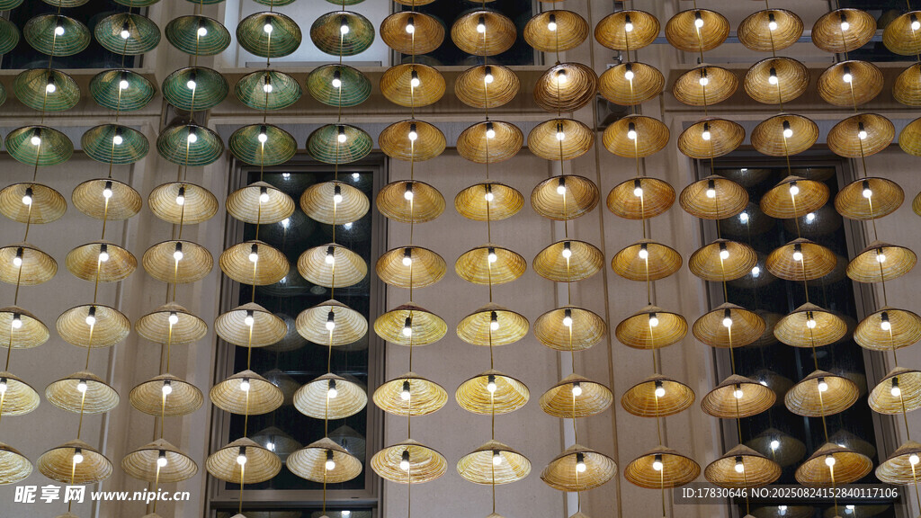 多样精美糕点展示