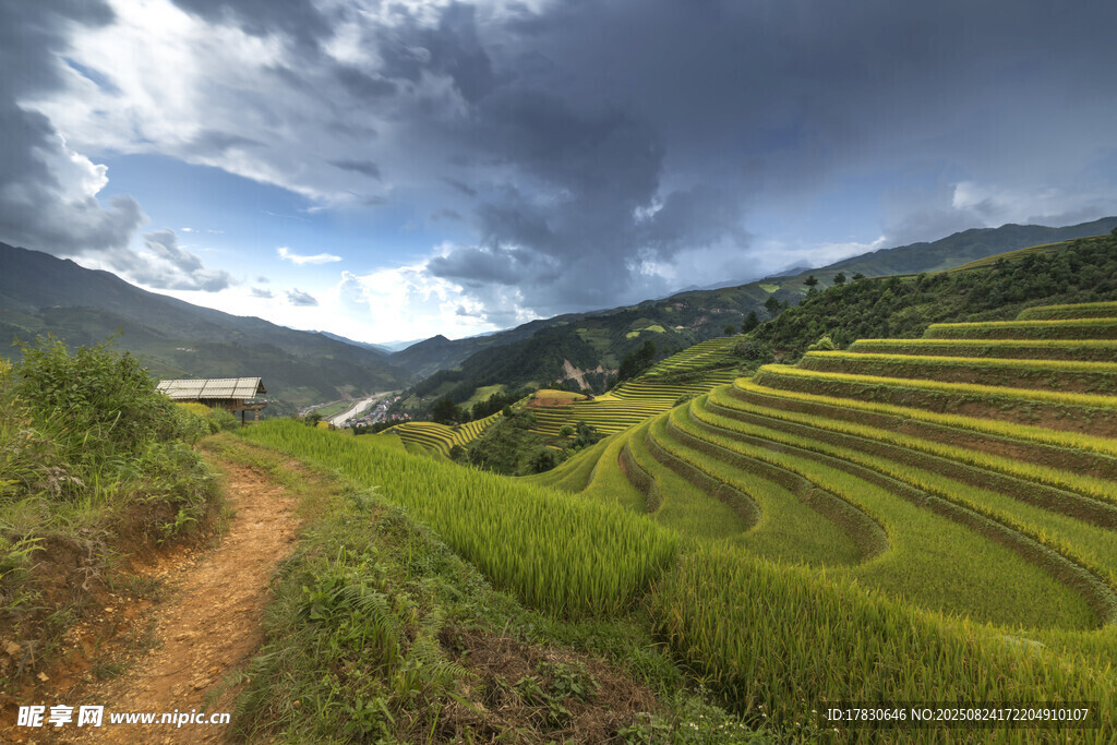 山间梯田美景