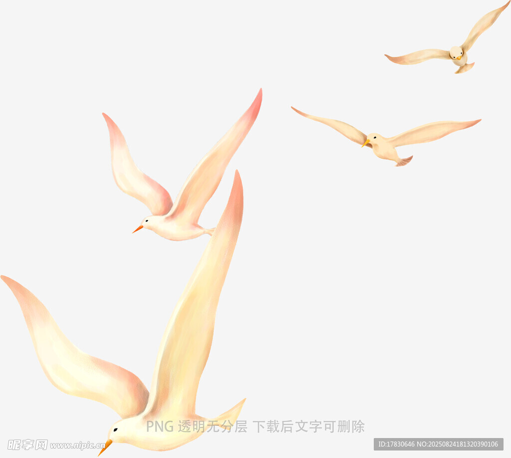 飞翔的金色鸟儿