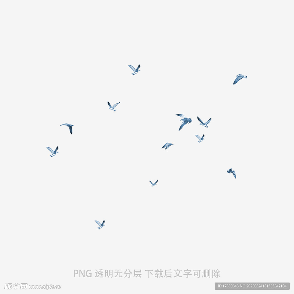 天空中飞翔的蓝色鸟儿
