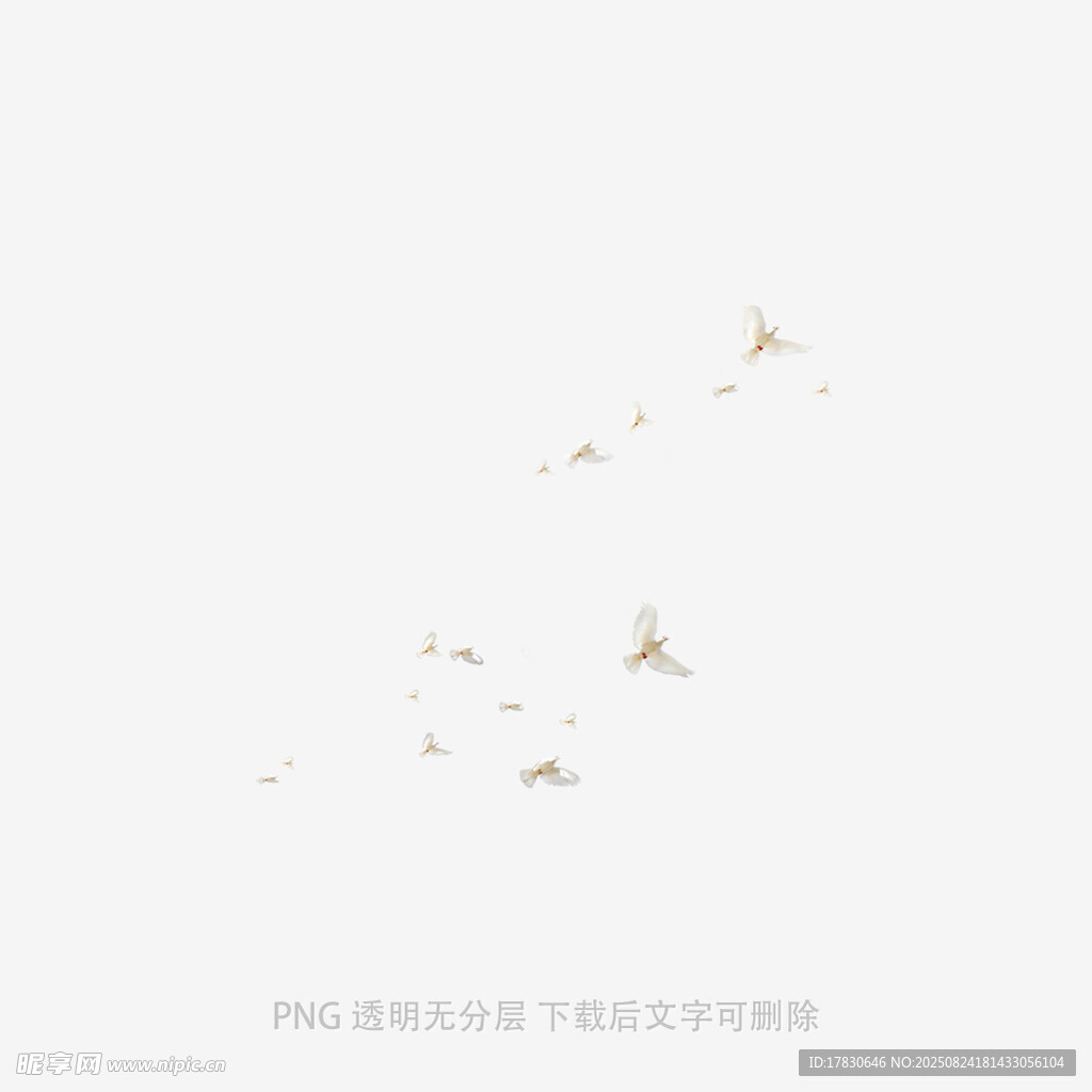 天空中飞翔的一群鸟儿