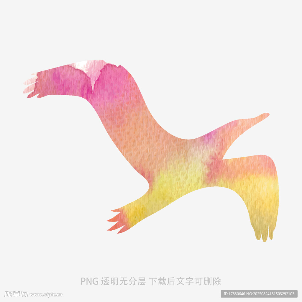 彩色飞鸟图案设计素材