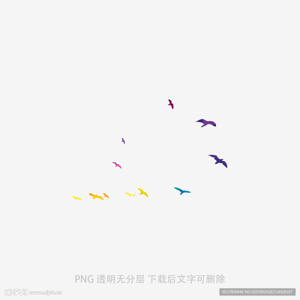 彩色飞鸟群空中飞舞景象