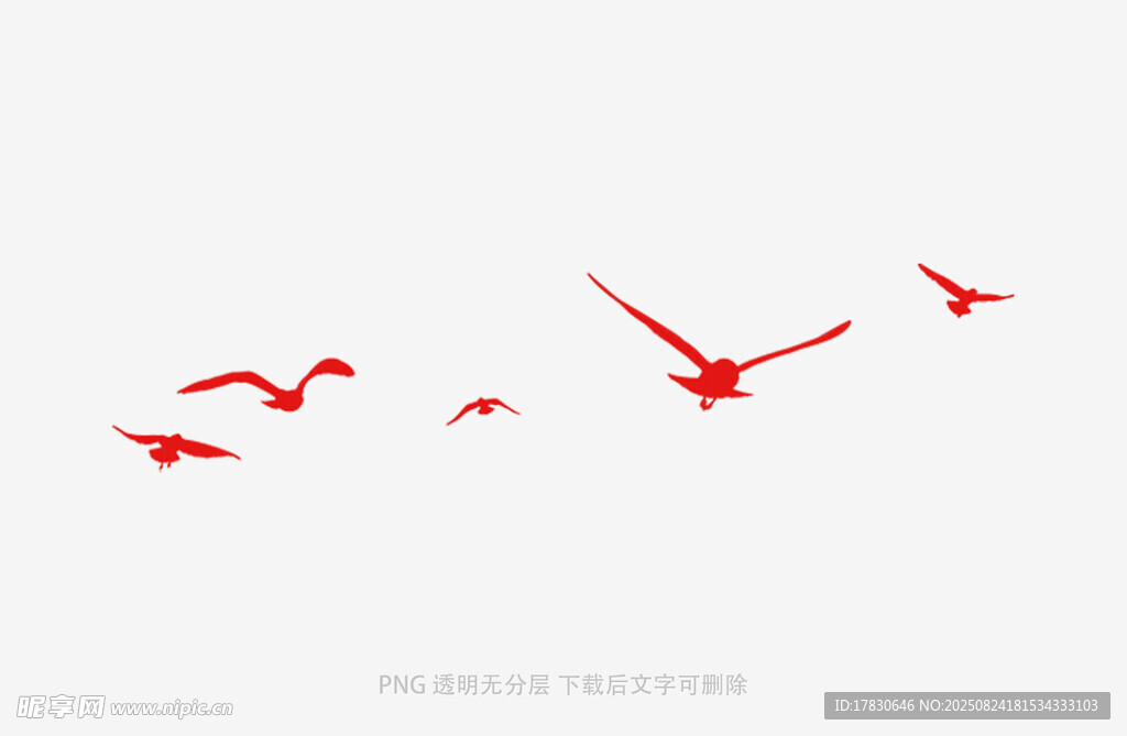 鸟群