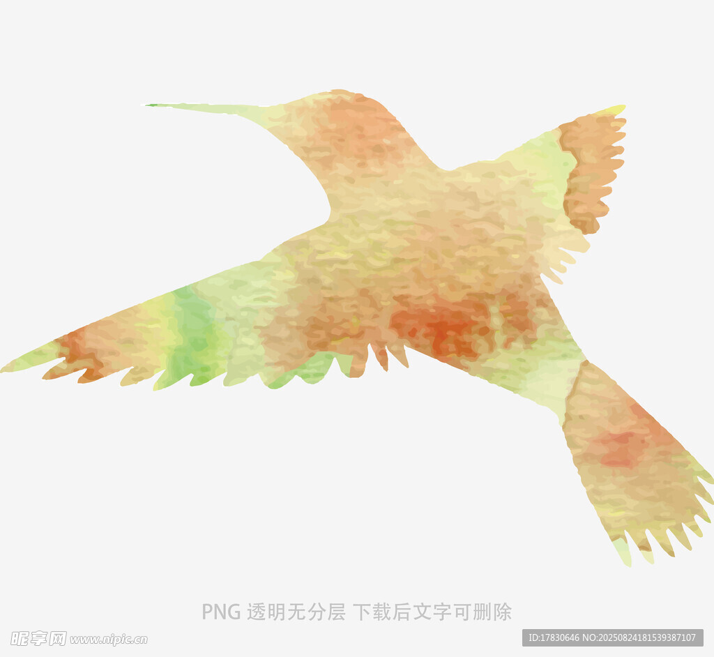 水彩绘灵动蜂鸟剪影