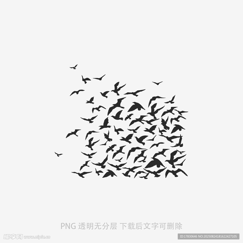 群鸟翱翔图