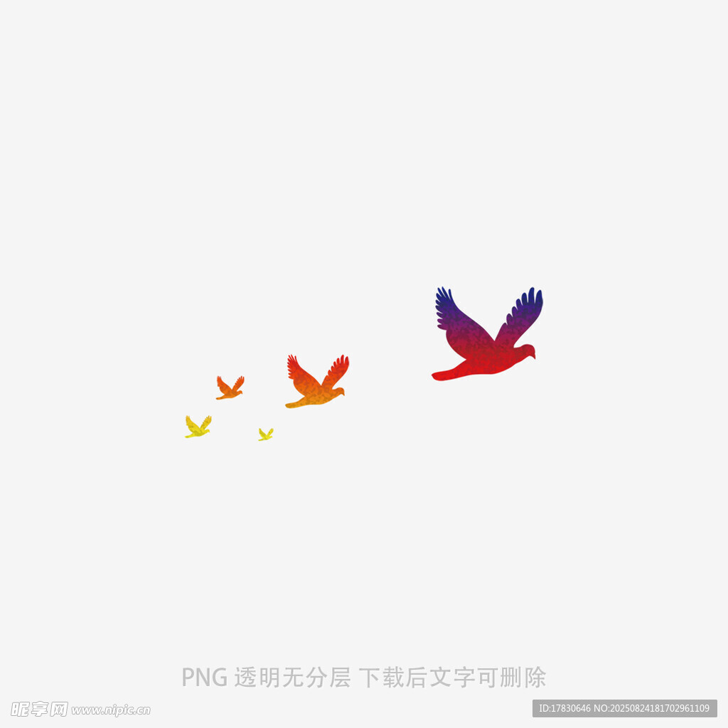 彩色飞鸟翱翔图