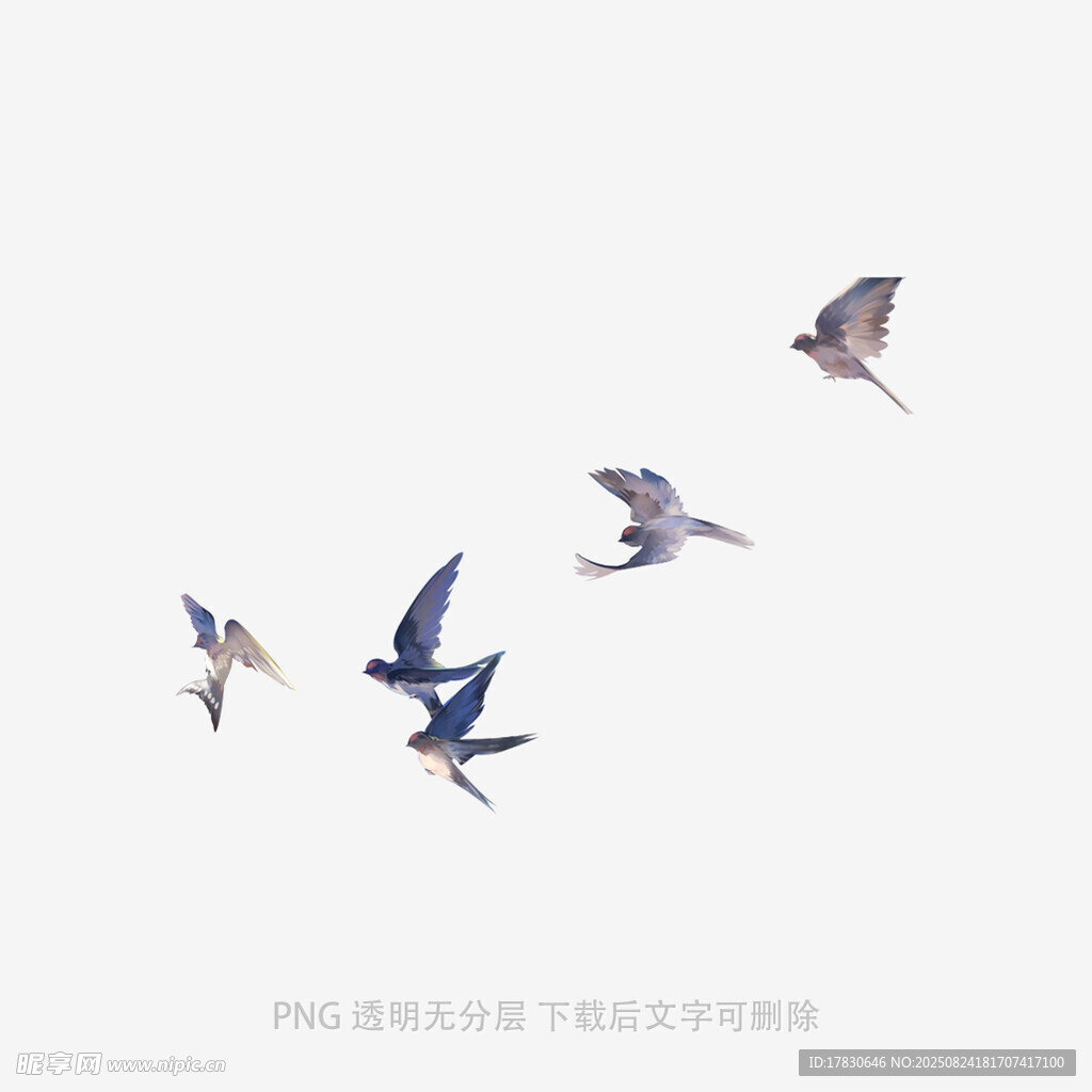 群燕空中翱翔