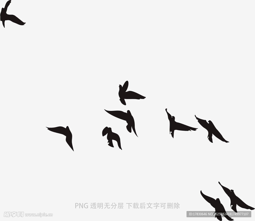 群鸟翱翔天际