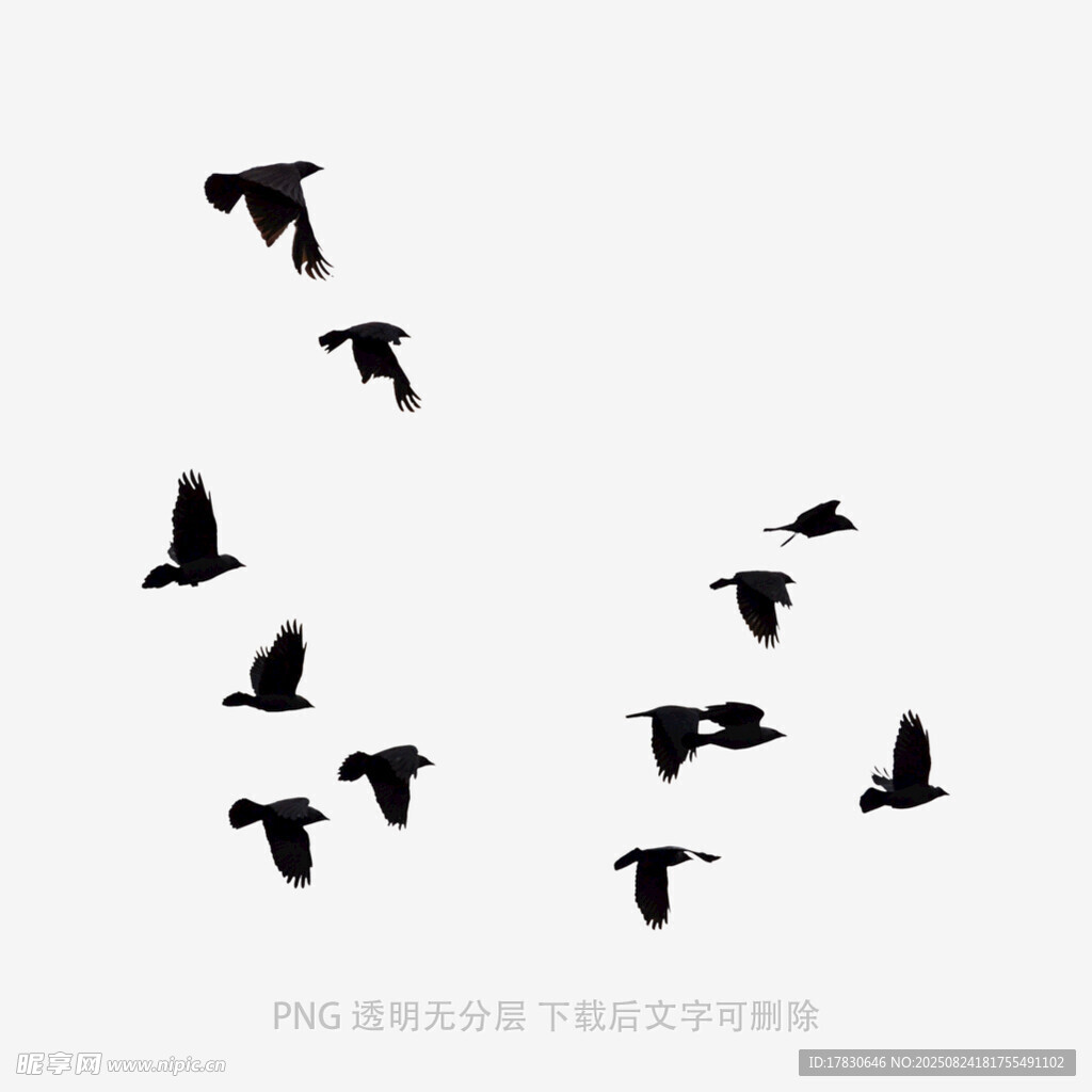 群鸟翱翔于天际