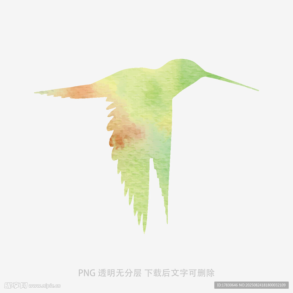 水彩绘蜂鸟剪影