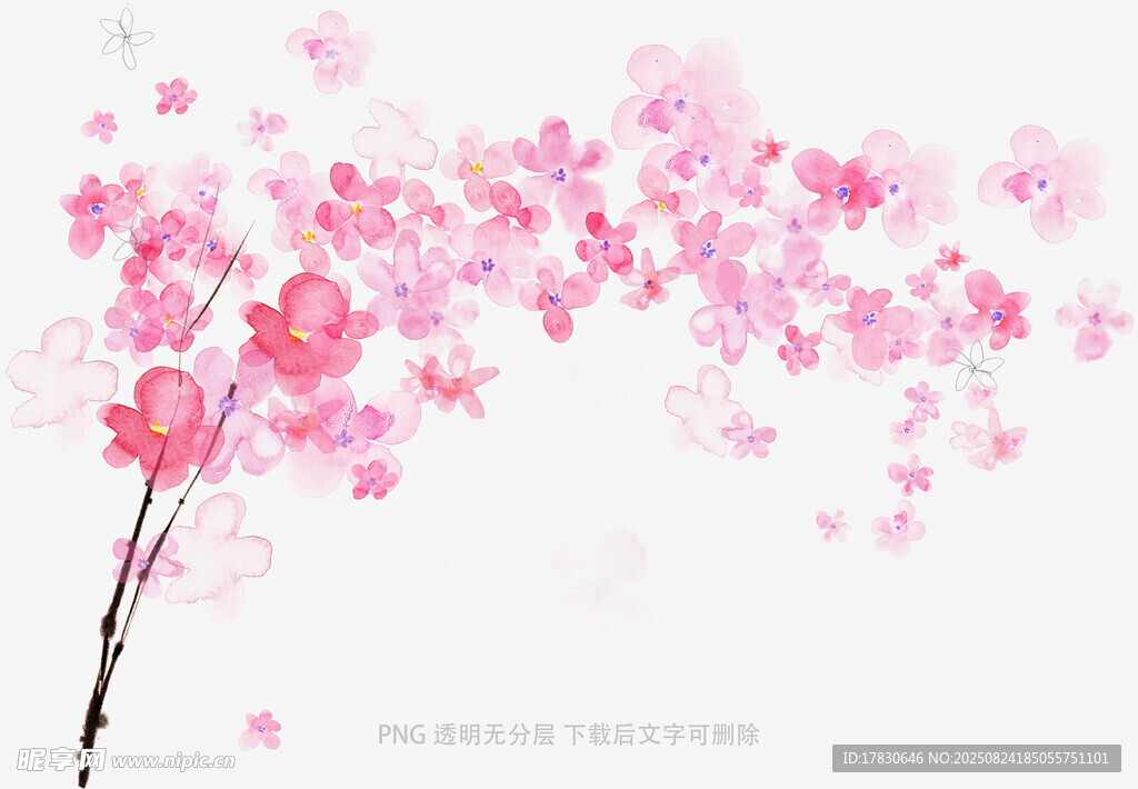 粉色烂漫樱花枝