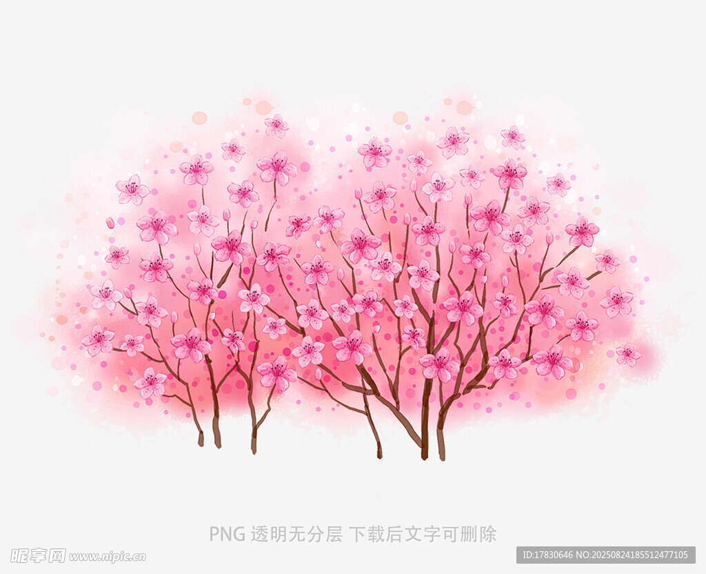 粉色烂漫樱花树插画