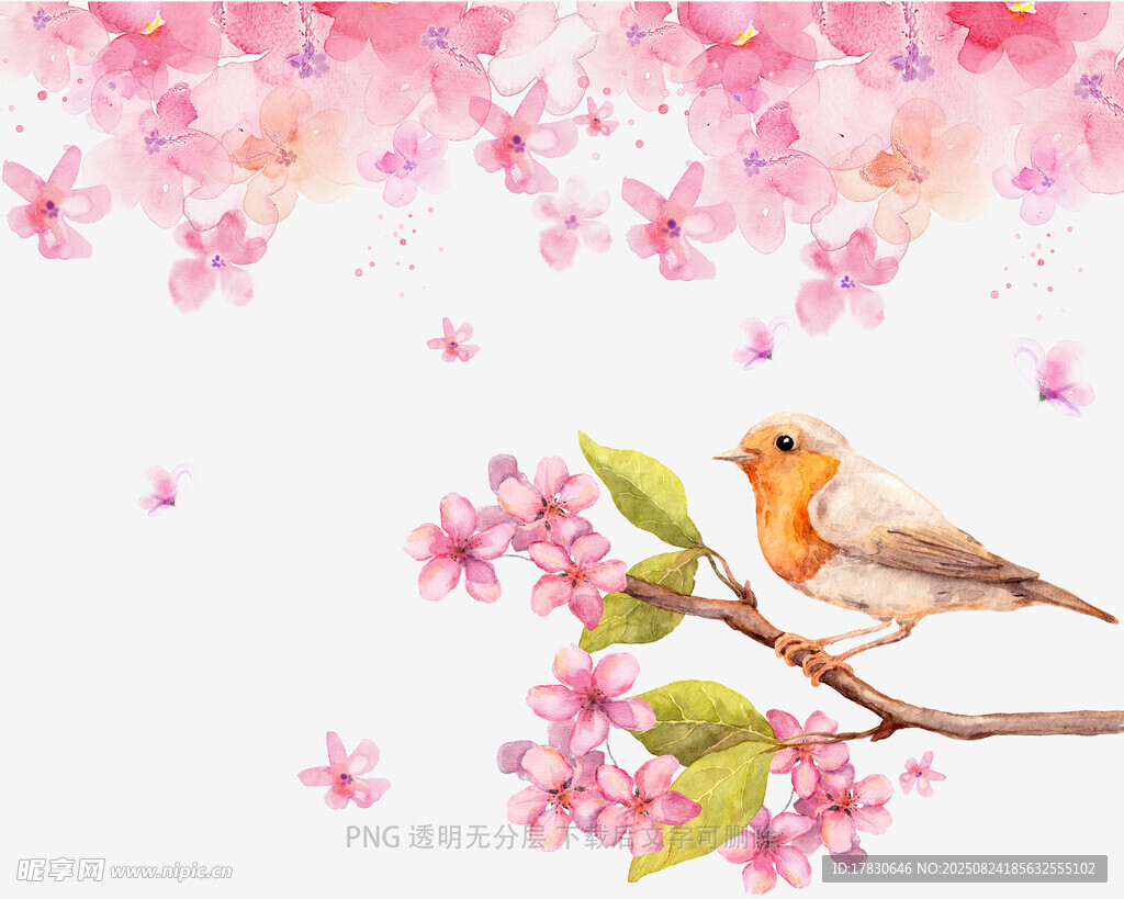 樱花枝上的小鸟