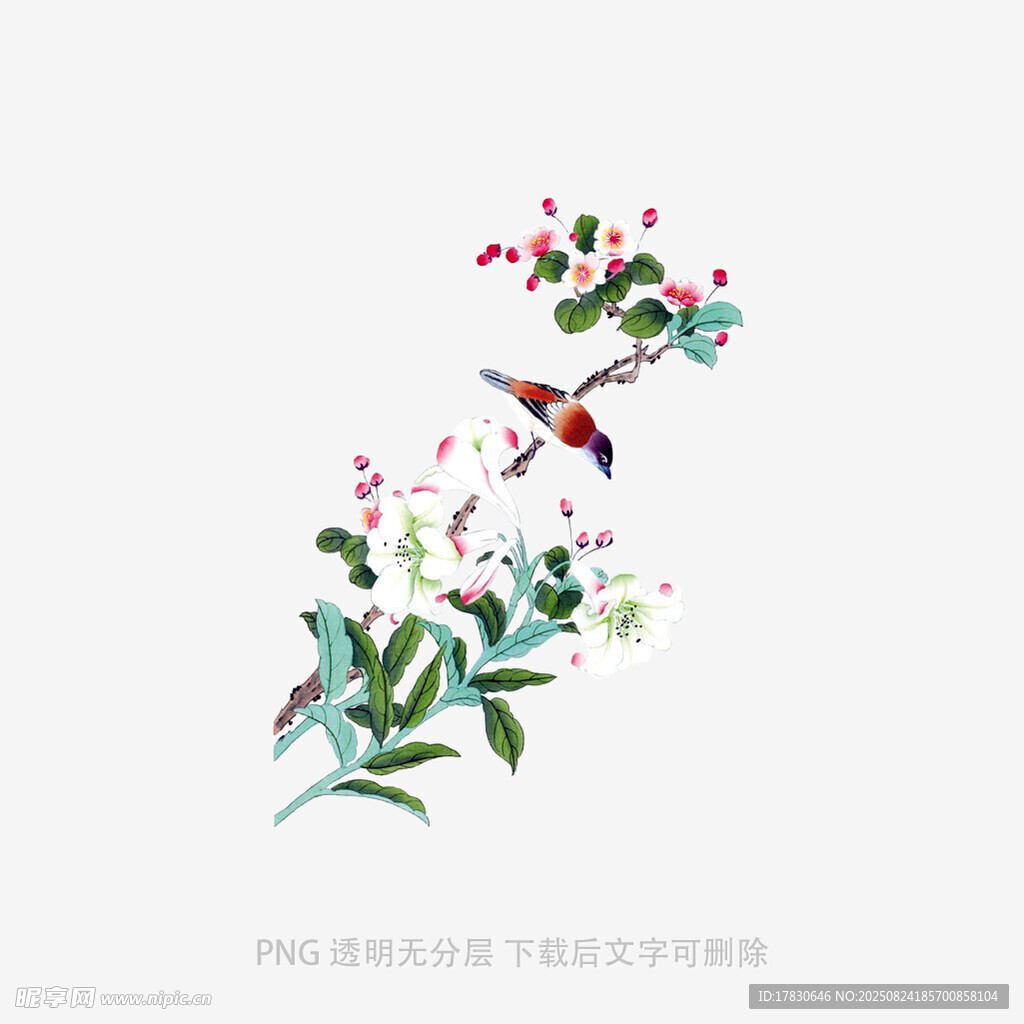花鸟枝头图