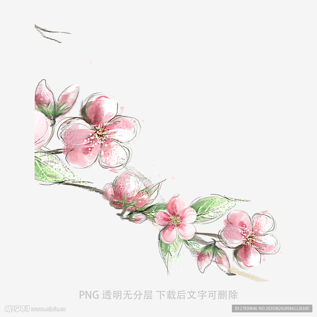 手绘粉色花枝图