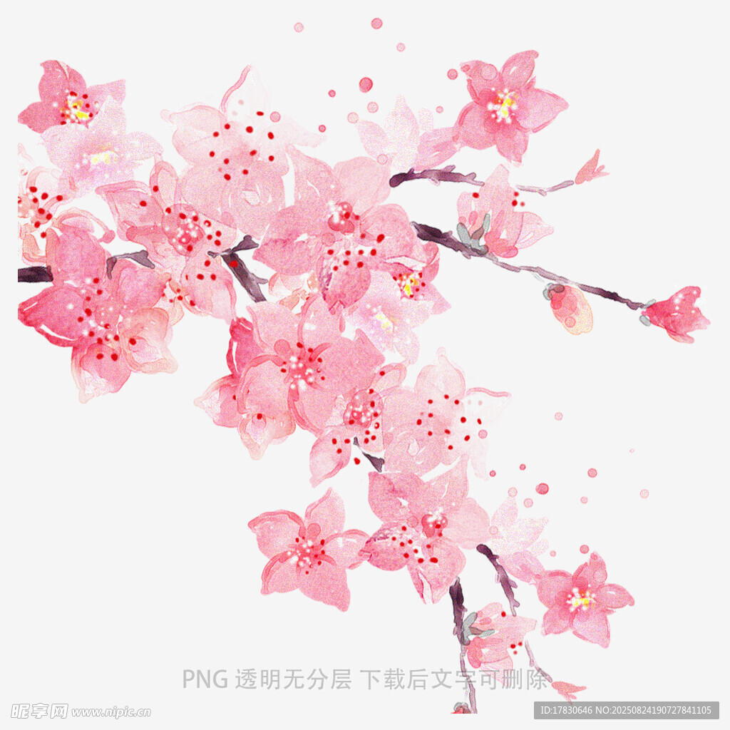 唯美粉色绽放的桃花枝