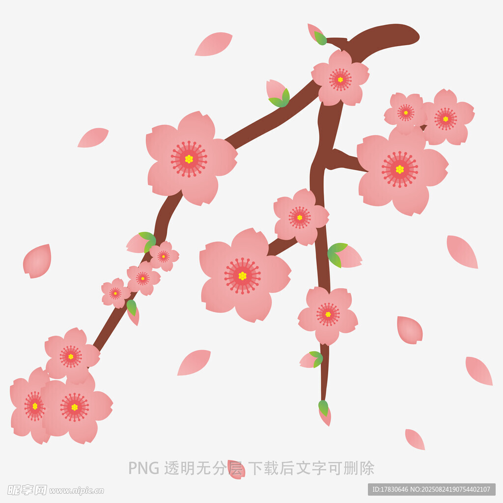 花朵