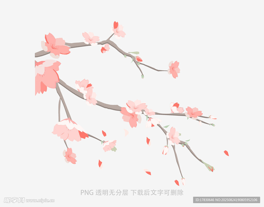 花朵
