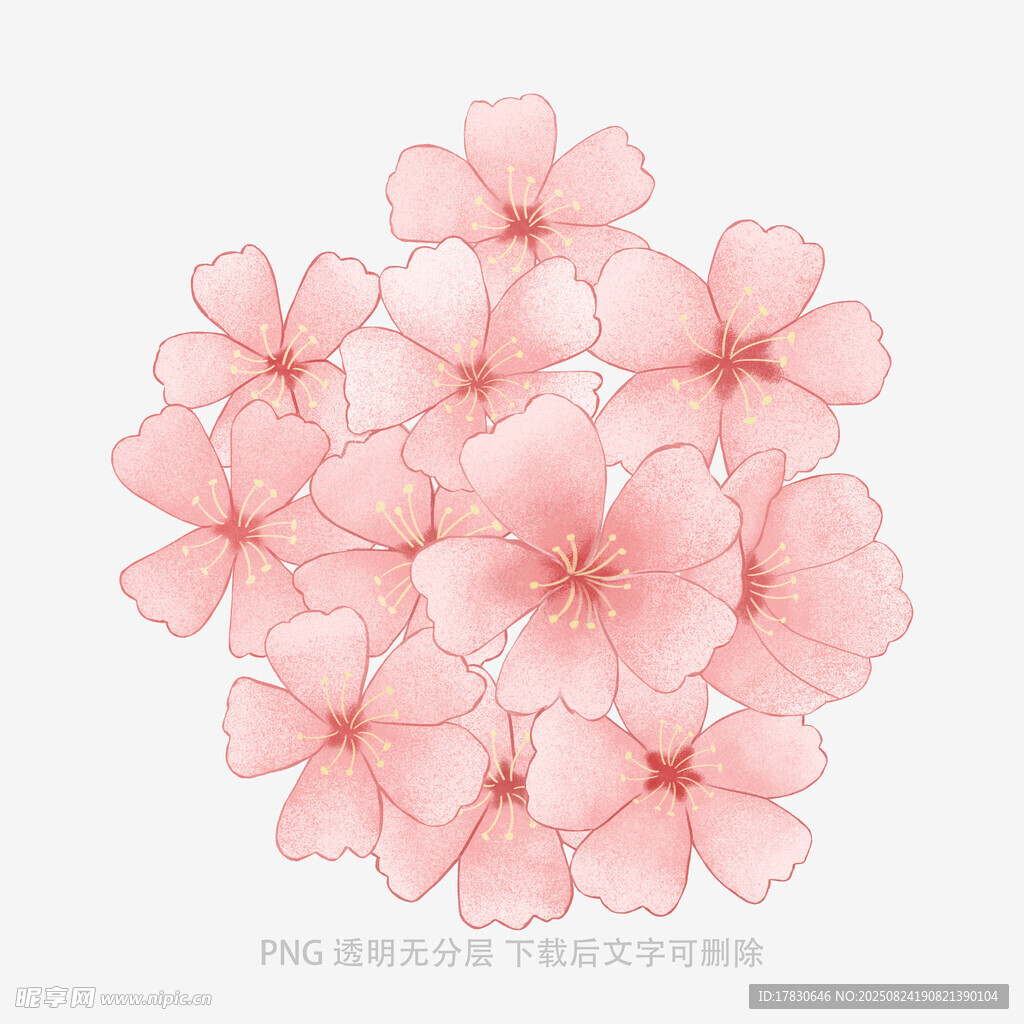 粉色花朵簇拥图案