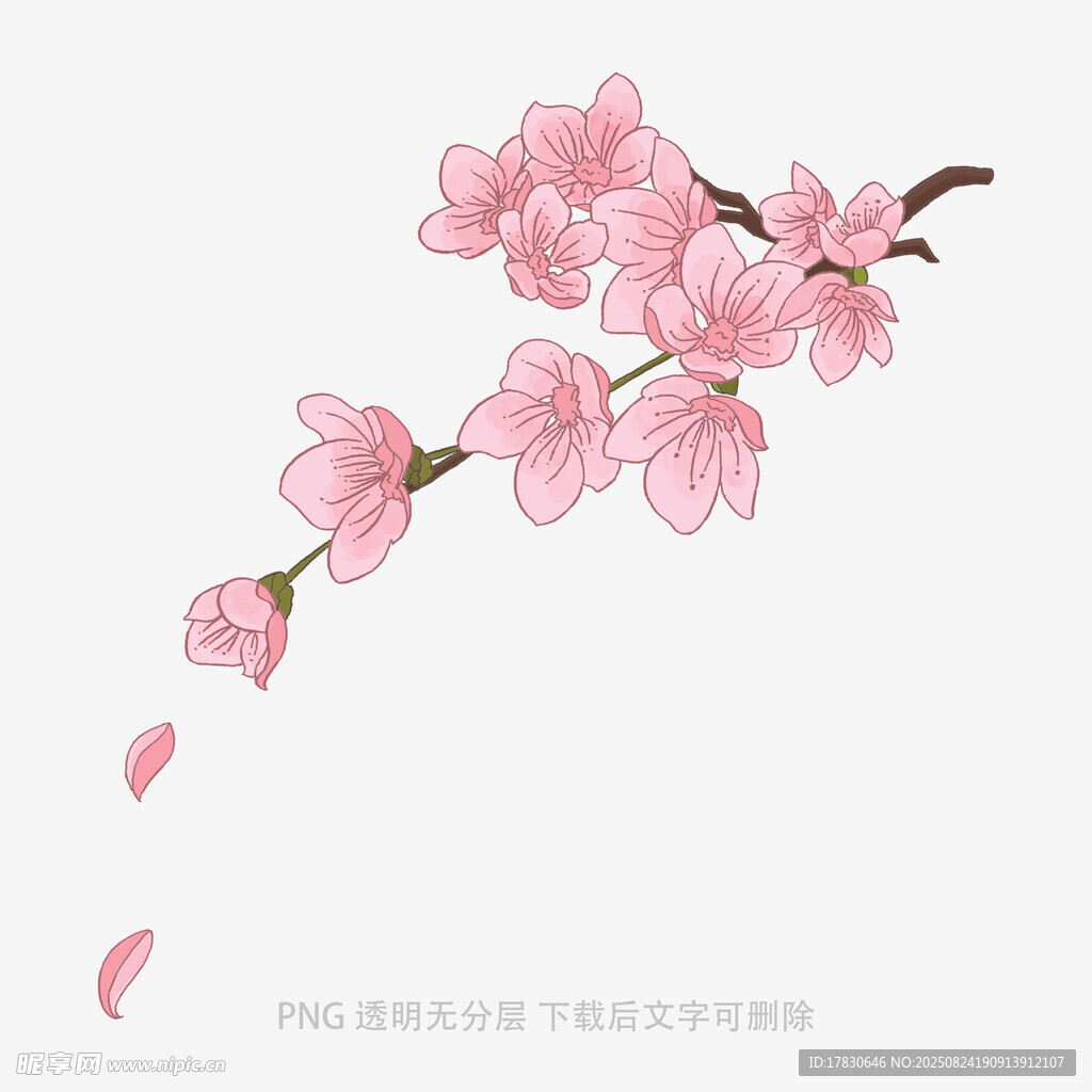 花朵