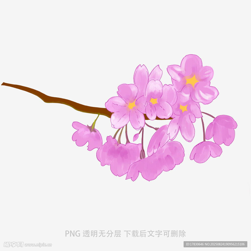 粉色烂漫樱花枝