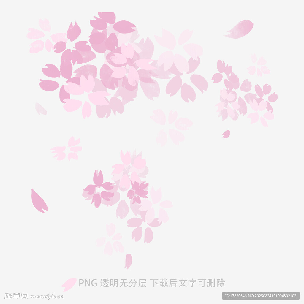 粉色烂漫樱花飘落场景