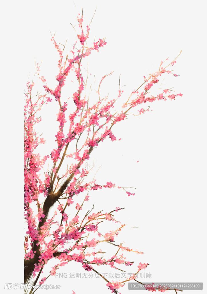 粉色花枝绽放
