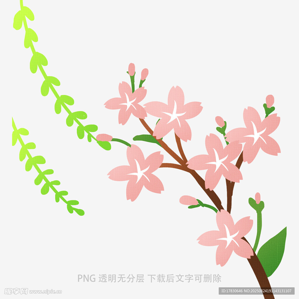 粉色樱花与绿叶矢量插画
