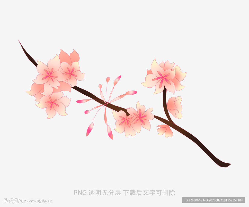 粉色桃花枝
