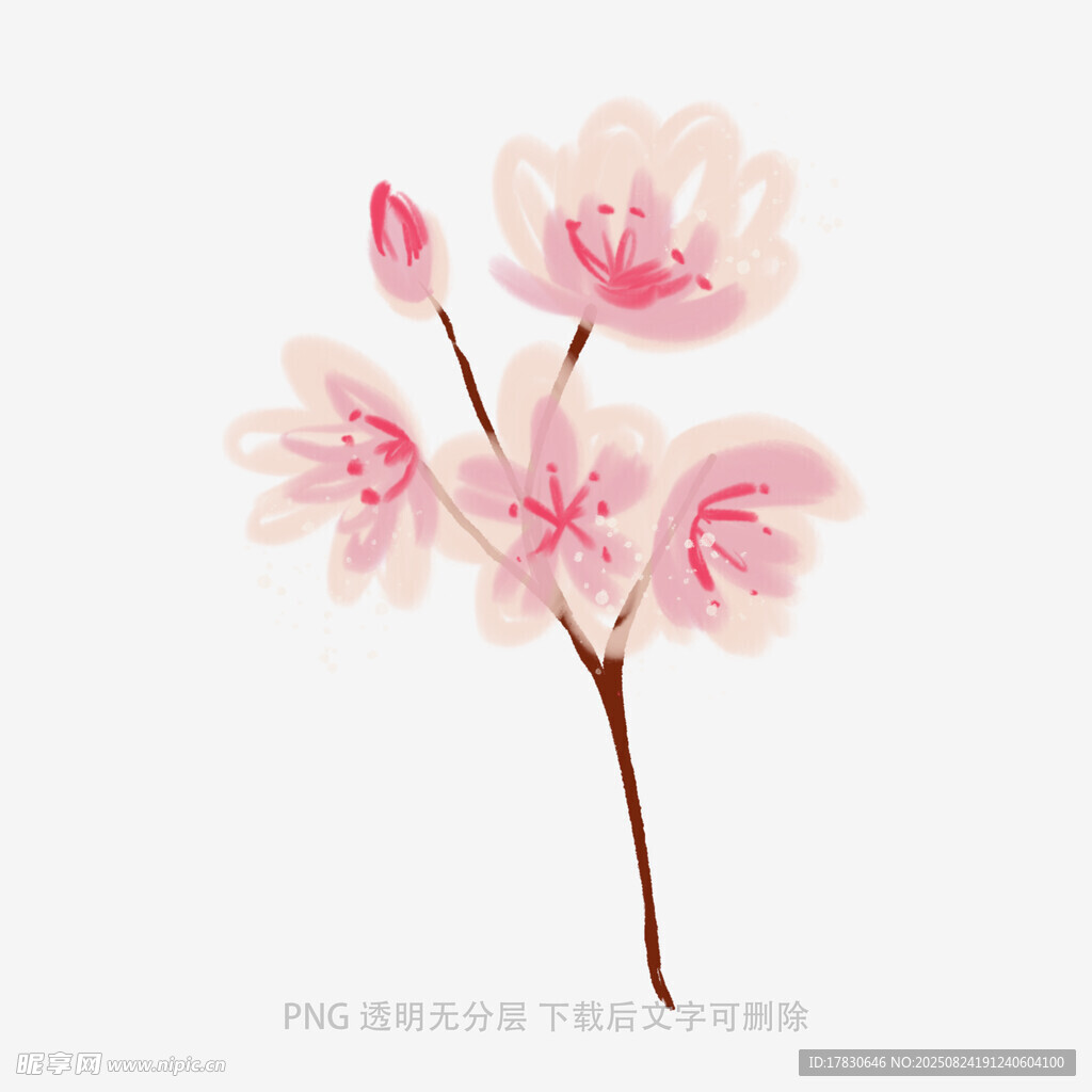 粉色樱花枝