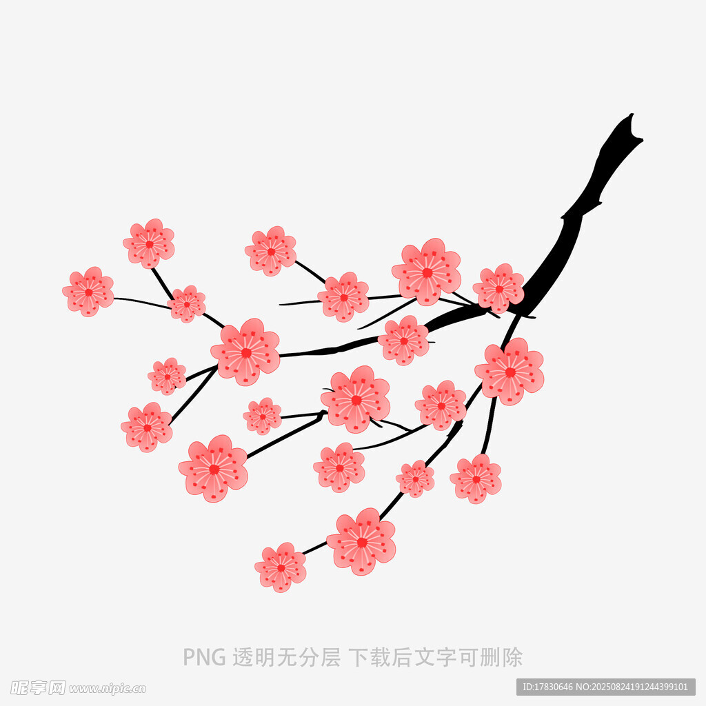 粉色梅花枝插画