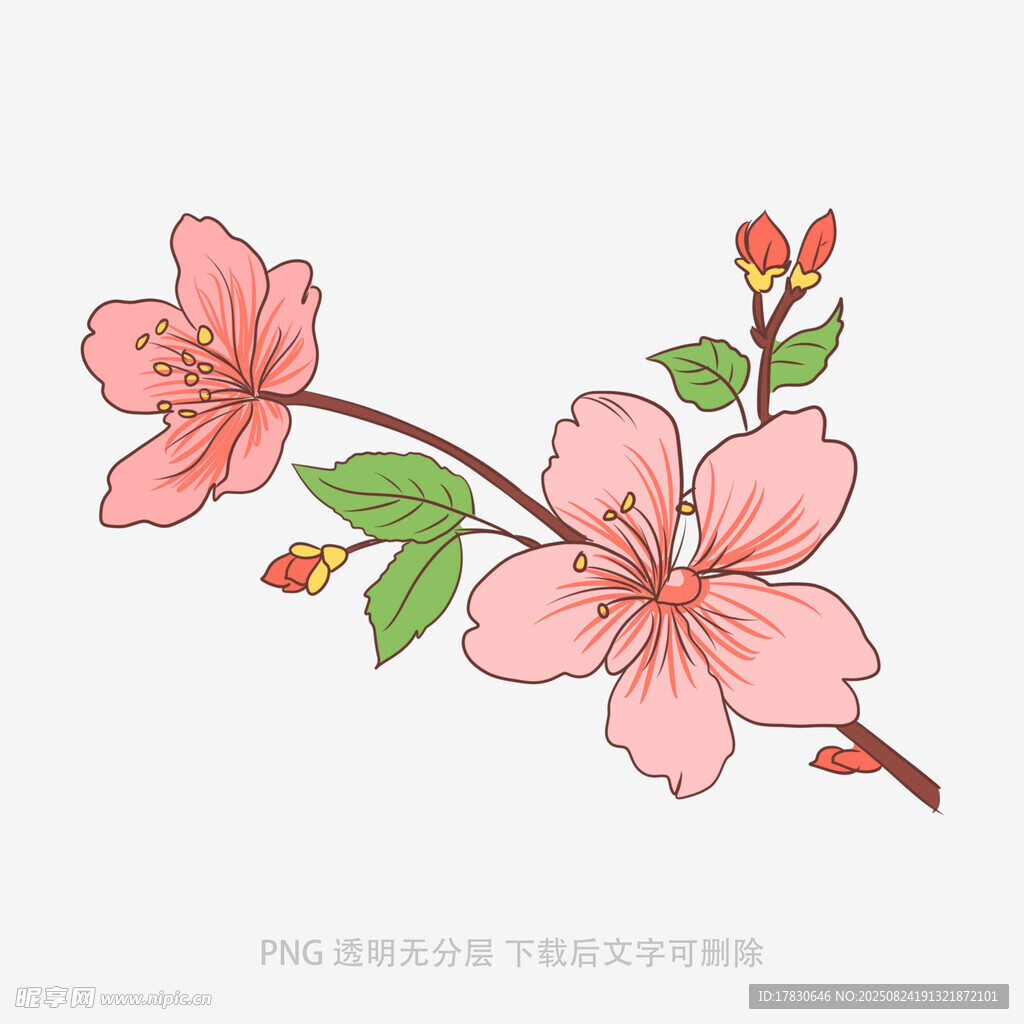 手绘粉色桃花枝