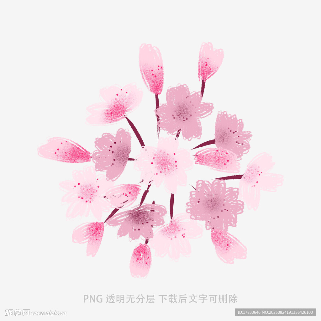 唯美粉色樱花绽放画面