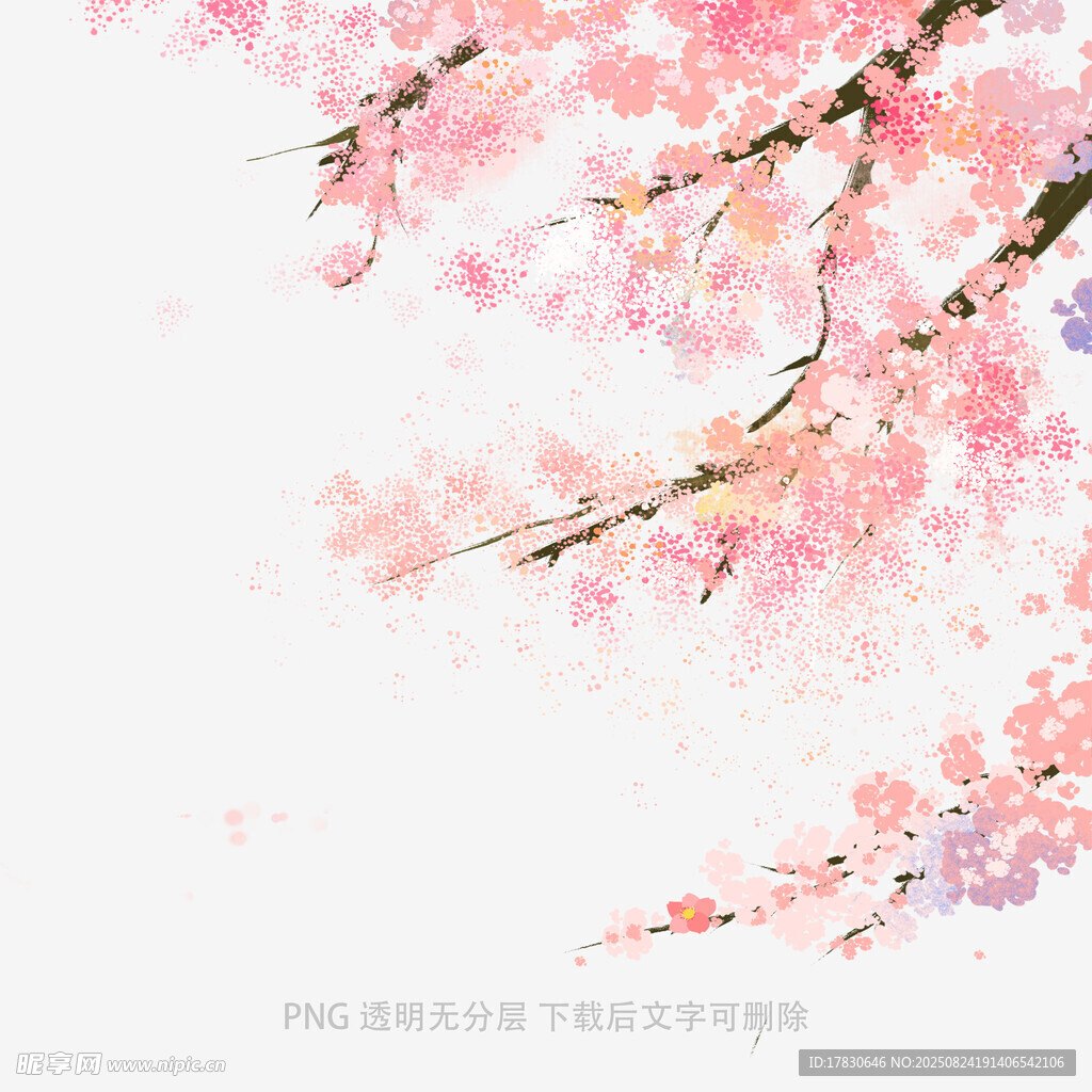 唯美粉色樱花枝景